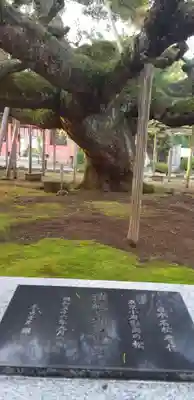 善養寺(東京都)