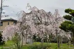 放生院常光寺(京都府)