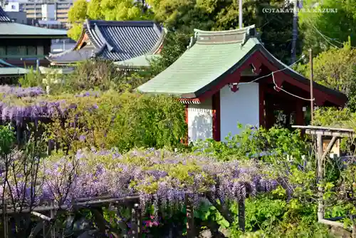 亀戸天神社の景色