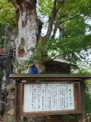 鹿嶋神社(宮城県)