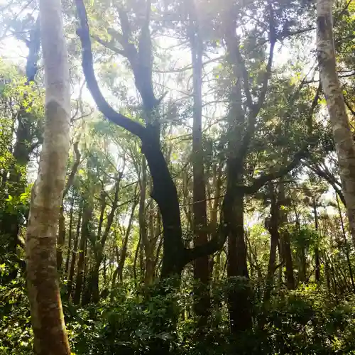 鹿島神宮の自然
