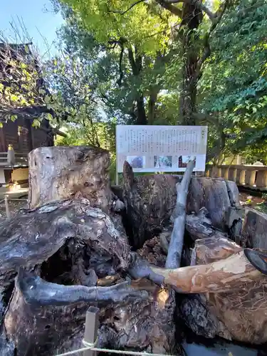 布多天神社(東京都)