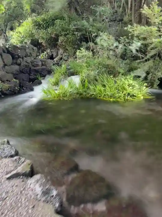 富士山本宮浅間大社(静岡県)