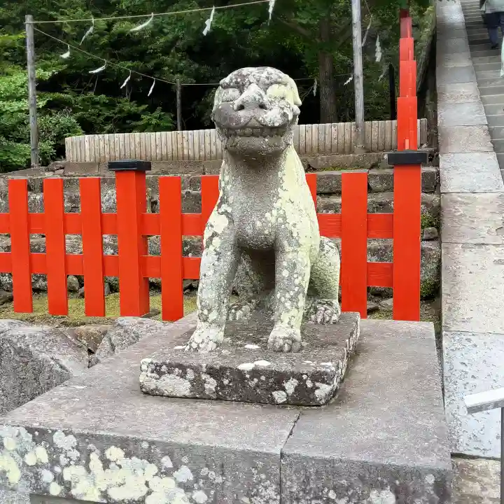 鶴岡八幡宮の狛犬