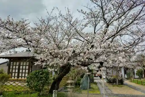 橋寺 放生院(京都府)