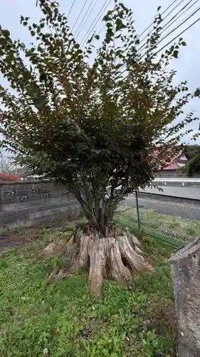 御嶽神社(宮城県)