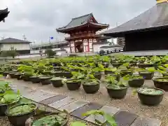 喜光寺の建物その他