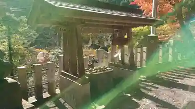 九頭龍神社の手水舎