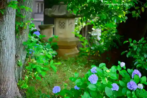 本郷氷川神社(東京都)