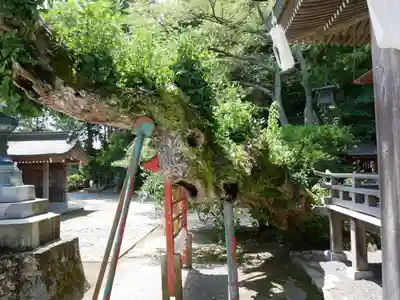 住吉神社のその他建物