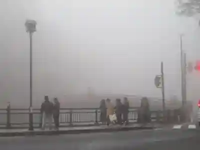 神橋(二荒山神社)の周辺