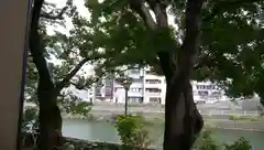 雨寶院の周辺