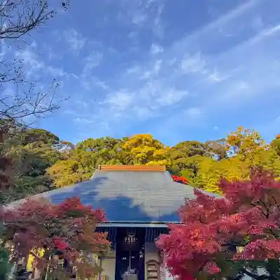 伊勢の国 四天王寺(三重県)