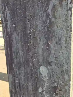 香取大神社(千葉県)