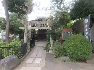 白山神社(東京都)