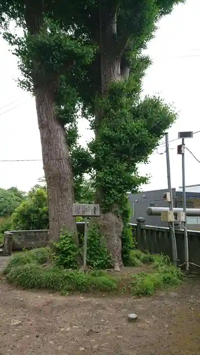 御霊神社(神奈川県)