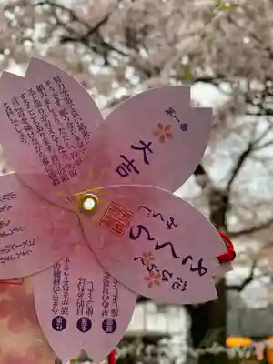 高麗神社のおみくじ