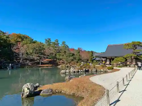 天龍寺の庭園