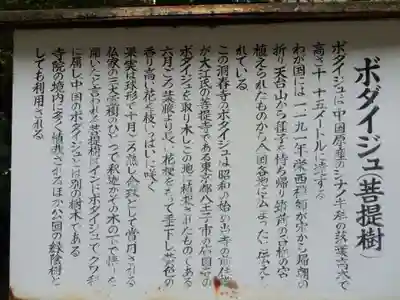 洞春寺(山口県)