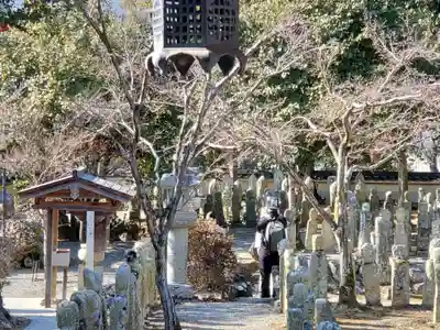 羅漢寺(兵庫県)