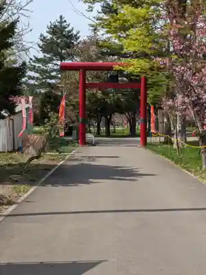 多賀神社の鳥居