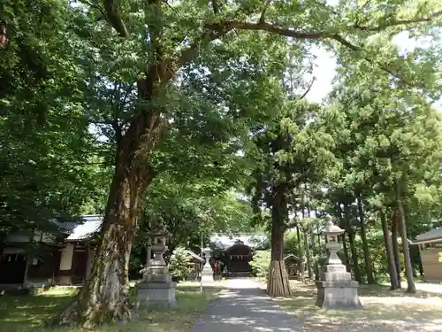 春日神社・井口神社の建物その他