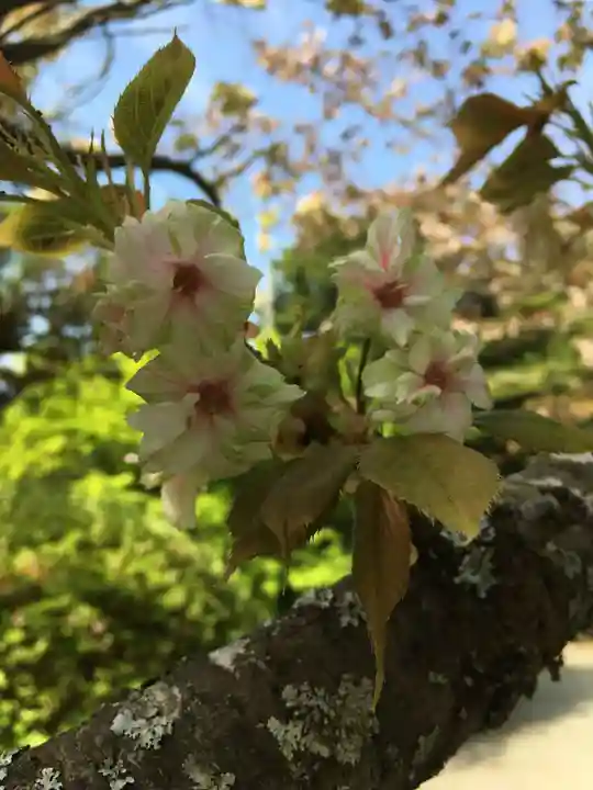播州清水寺の自然