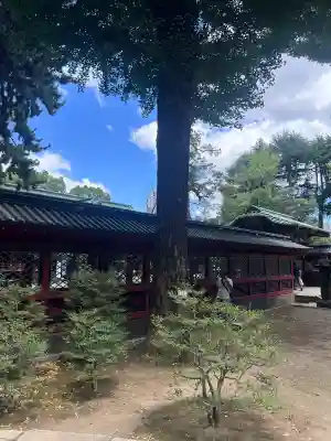 乙女稲荷神社(東京都)