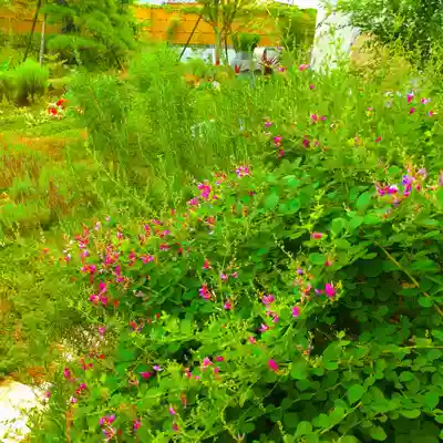 寿量山 速成寺(奈良県)