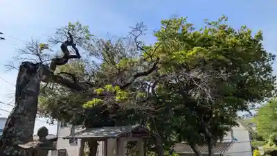 天神社(大分県)