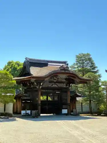 仁和寺の{uncategorized: "未分類", other: "その他", undefined: "問題あり", building: "その他建物", grave: "お墓", sacred_gate: "鳥居", guardian: "狛犬", statue: "像", buddha: "仏像", history: "歴史", nature: "自然", garden: "庭園", animal: "動物", pagoda: "塔", temizu: "手水舎", mountain_gate: "山門・神門", sanctuary: "本殿・本堂", subordinate: "末社・摂社", art: "芸術", scenery: "景色", jizo: "地蔵", ema: "絵馬", goshuin: "御朱印", omikuji: "おみくじ", items: "授与品その他", amulet: "お守り", goshuincho: "御朱印帳", eats: "食事", festival: "お祭り", votive_dance: "神楽", shichigosan: "七五三参", wedding: "結婚式", experience: "体験その他", initially: "初詣", around: "周辺", anti_infection: "感染症対策"}