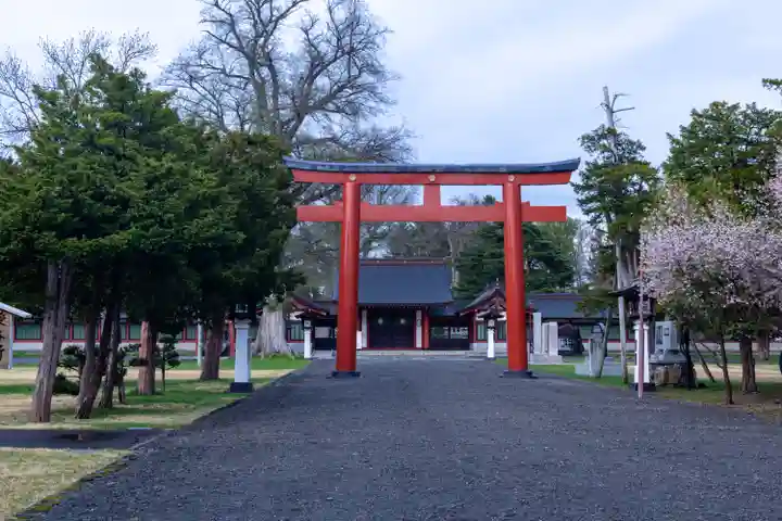 北海道護國神社の鳥居