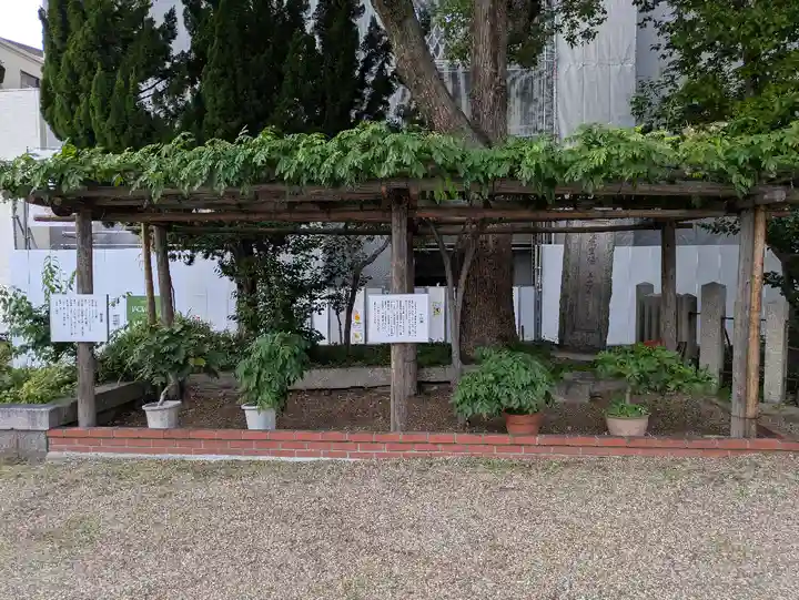 野田恵美須神社(大阪府)
