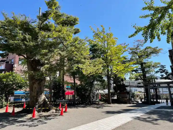 亀岡八幡宮(亀岡八幡神社)の庭園