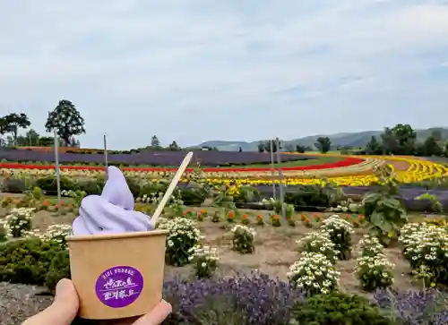 美瑛神社の周辺