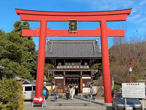 梅宮大社の鳥居