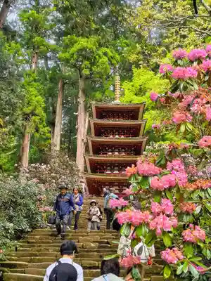 室生寺の塔