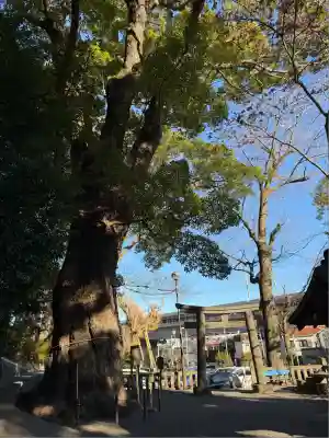 五所神社(神奈川県)