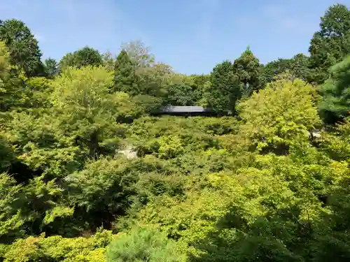 東福禅寺（東福寺）の自然