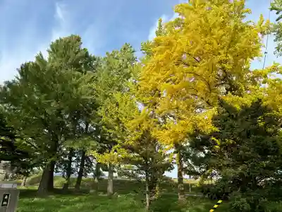 沖里河神社(北海道)