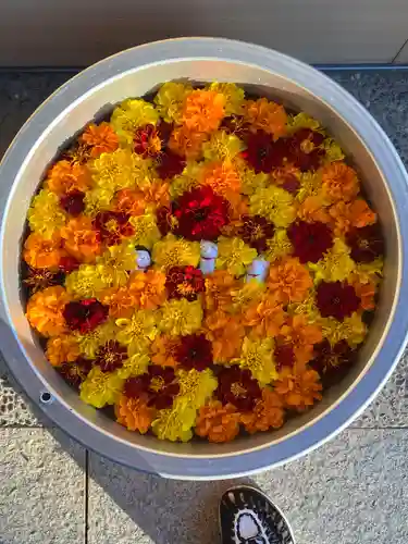 御井神社の手水舎