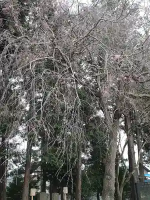 伏木香取神社のその他建物