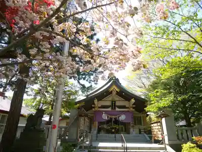 彌彦神社　(伊夜日子神社)の本殿・本堂
