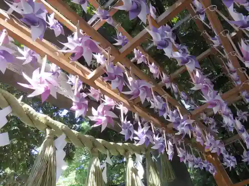 川越氷川神社(埼玉県)