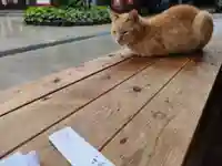 小倉祇園八坂神社(福岡県)