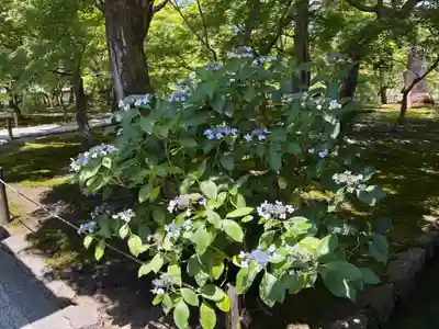 東福禅寺(東福寺)(京都府)