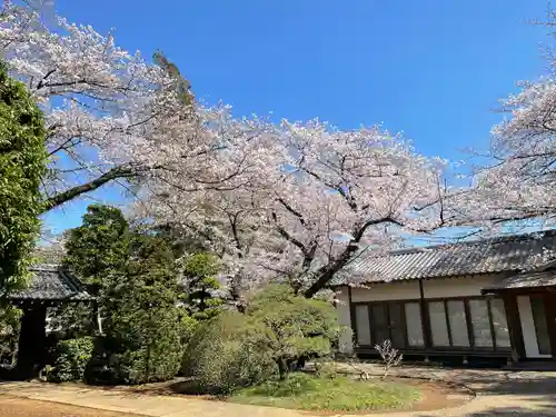 金乗院の庭園