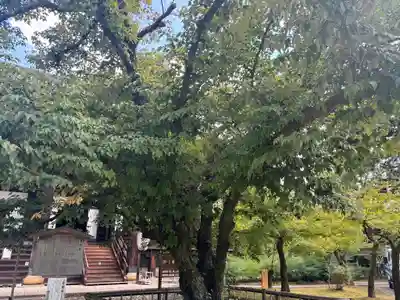 真正極楽寺(真如堂)の自然