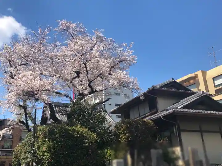 専称寺のその他建物