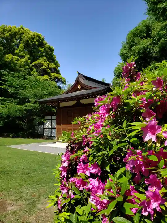 阿佐ヶ谷神明宮(東京都)